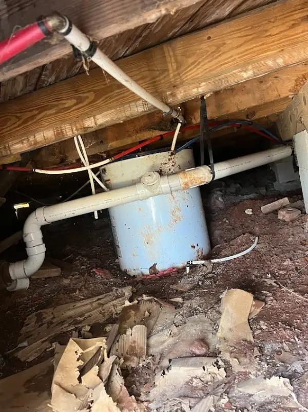 Professional Plumbing Services